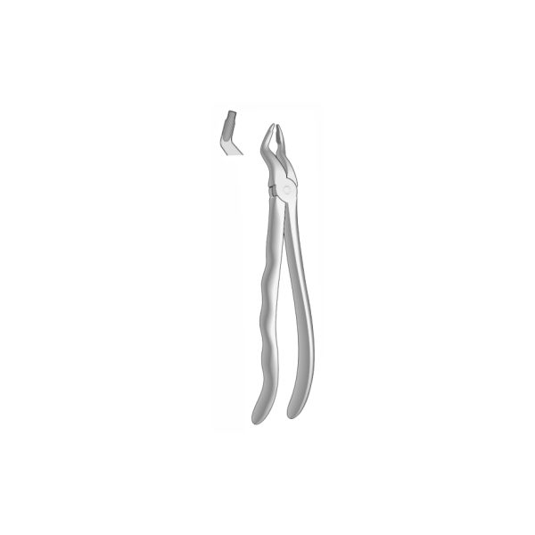 EXTRACTION FOCEPS WITH ANATOMICAL GRIP
