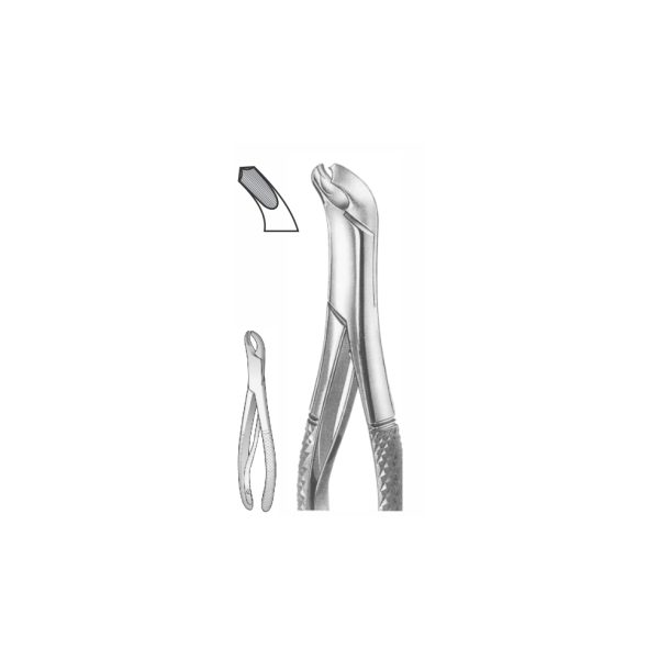 EXTRACTION FOCEPS “AMERICAN PATTERN