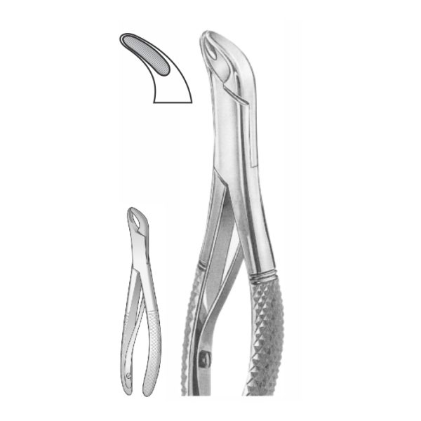 EXTRACTION FOCEPS “AMERICAN PATTERN