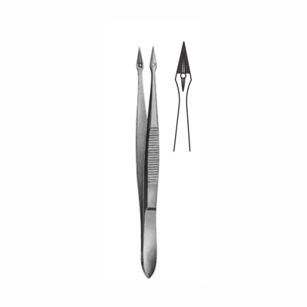 Tissue Forceps