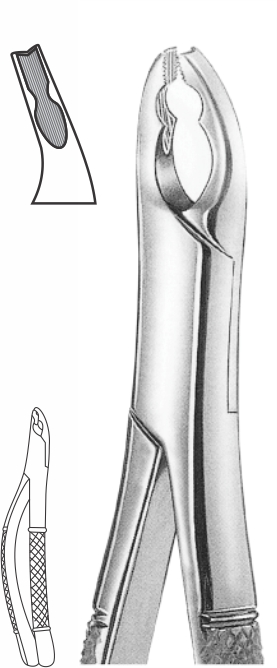 162.jpg