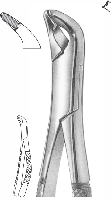 166.jpg