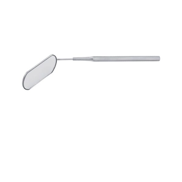 Eyelash Tweezer & Scaler