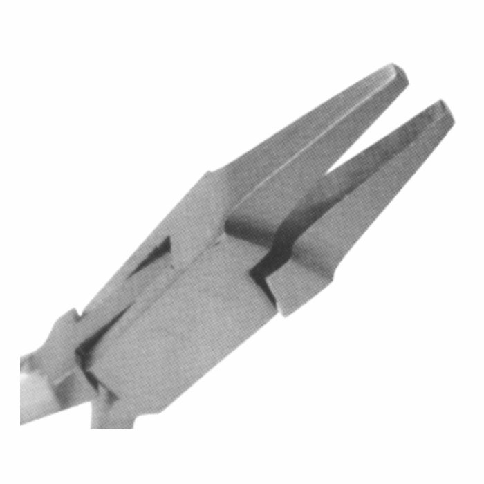 59.jpg