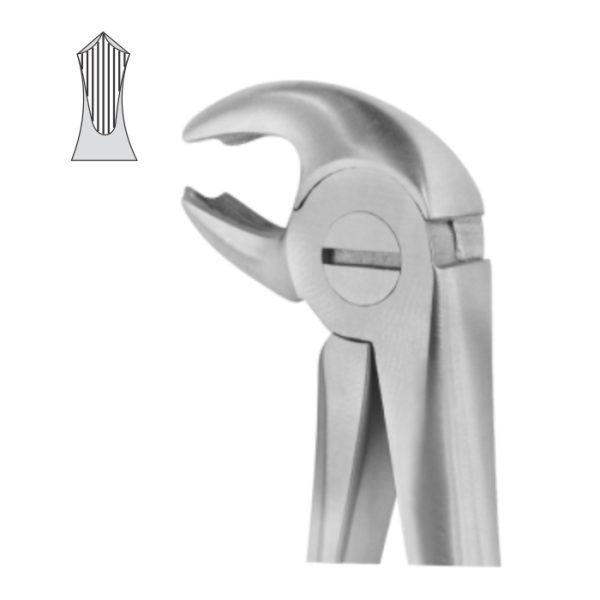 EXTRACTION FOCEPS STANDARD ENGLISH PATTERN