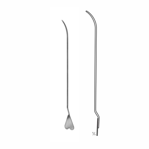 Dissecting Forceps