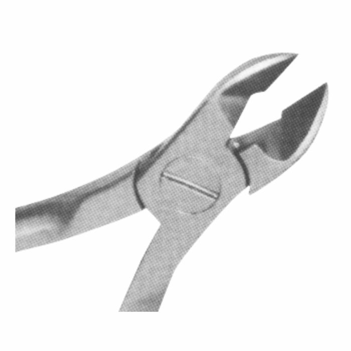 77.jpg
